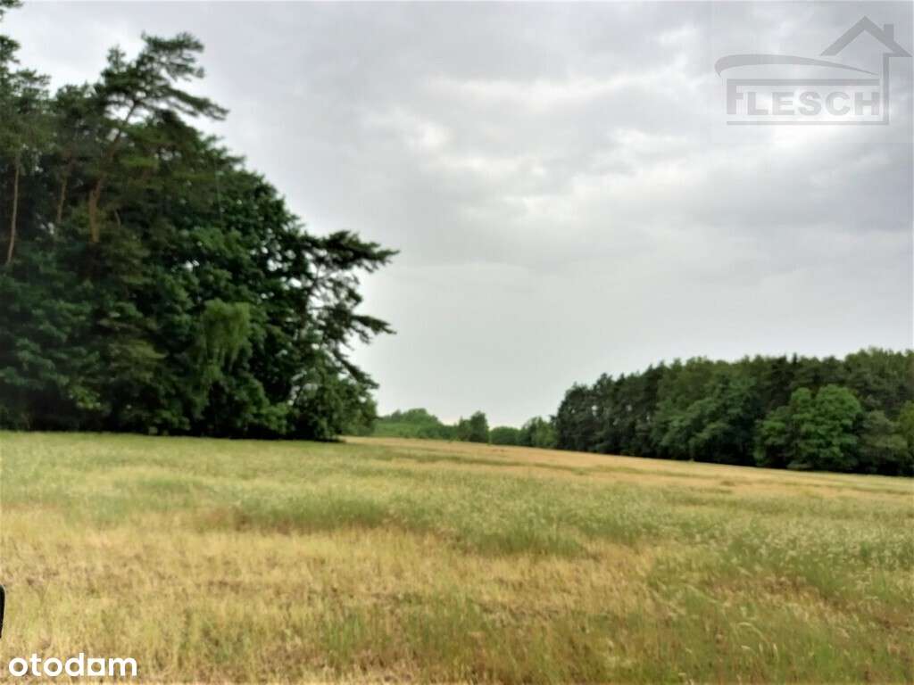 Bardzo ładna działka 12ha  Podlindowo Gm Mszczonów-16
