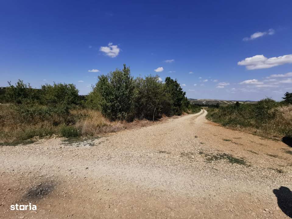 Teren intravilan de vanzare, 3.500 mp, cu front stradal de 21,5 ml - Imagine principală: 5/6