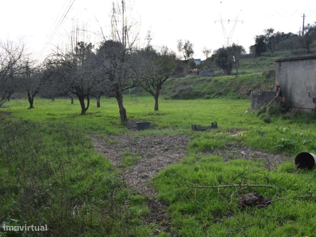 Quinta entre Antanhol e Cernache - Grande imagem: 3/18