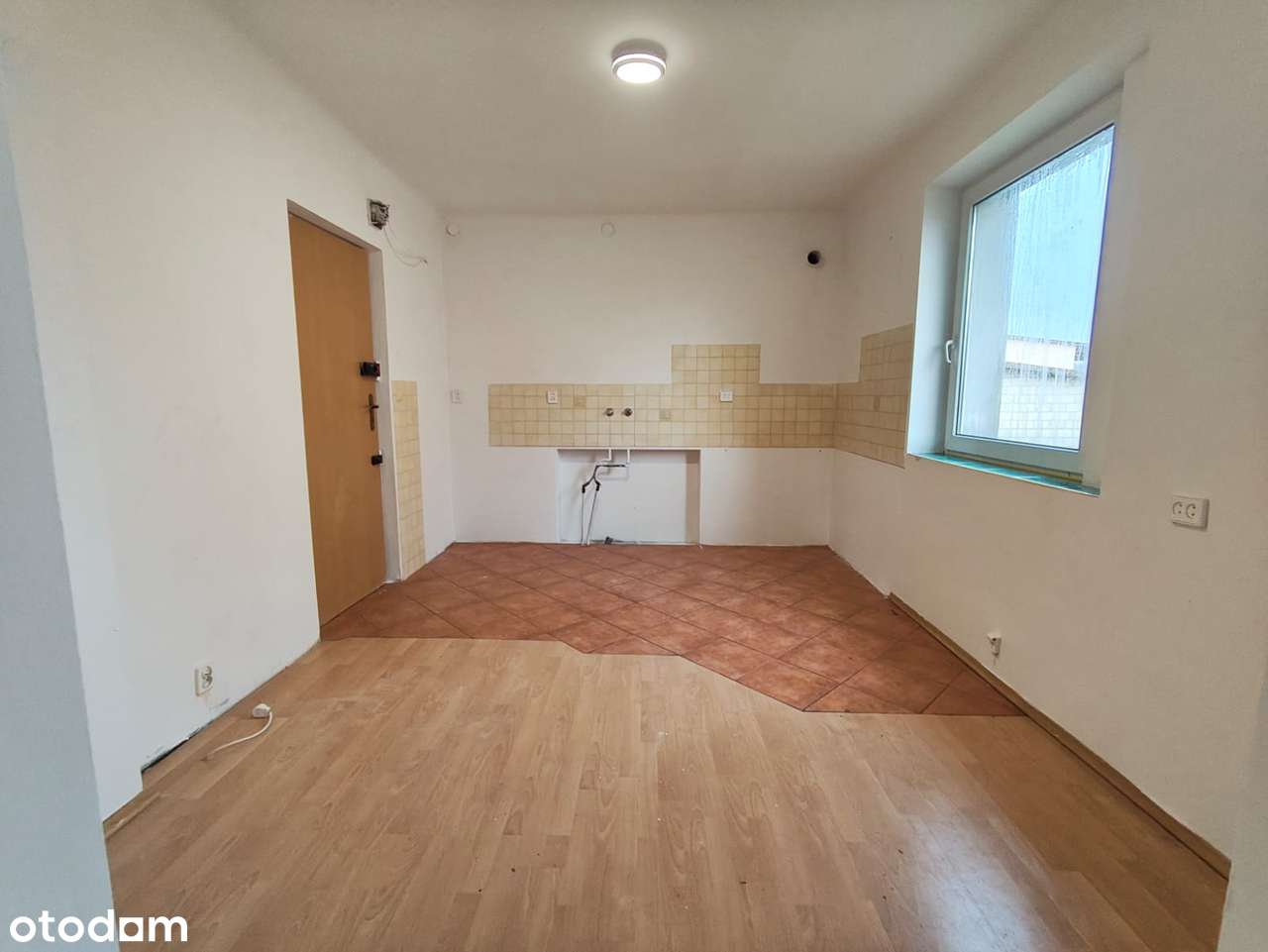 Parter I Duża piwnica I Kameralny budynek - Pełny obrazek: 5/12