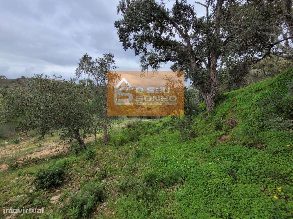 Terreno Rústico com 3.450 m²-11