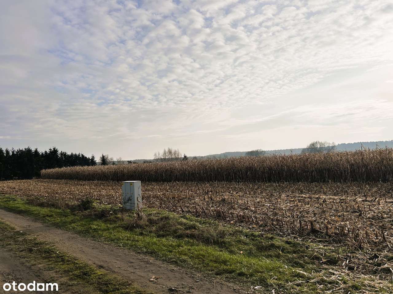 Media, droga - 10 arów w Nieciszowie - Pełny obrazek: 2/2
