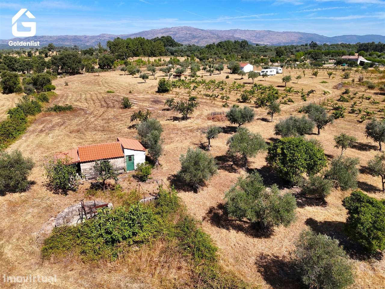 Quinta  Venda em Lardosa,Castelo Branco-7