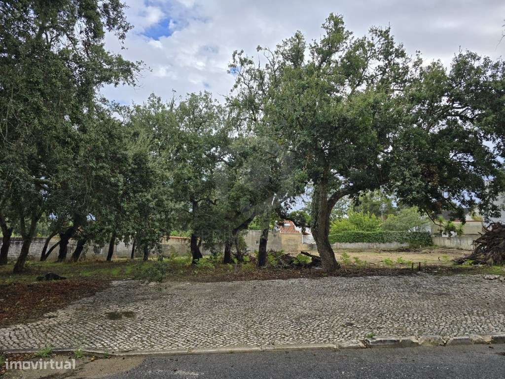 Terreno para construção de moradia isolada no Alto das Vinhas, Sesi... - Grande imagem: 1/5