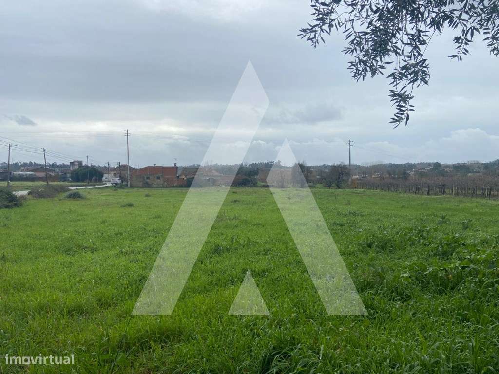 Terreno na Amoreira da Gândara em Anadia-5