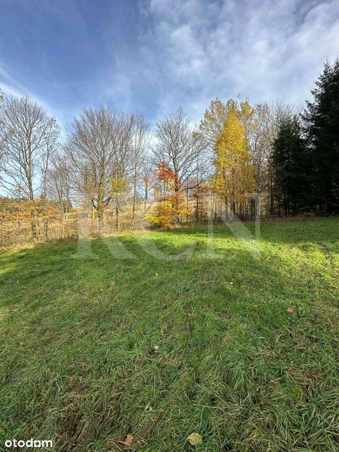 Działka w podgórskiej miejscowości Świeradów Zdrój-5