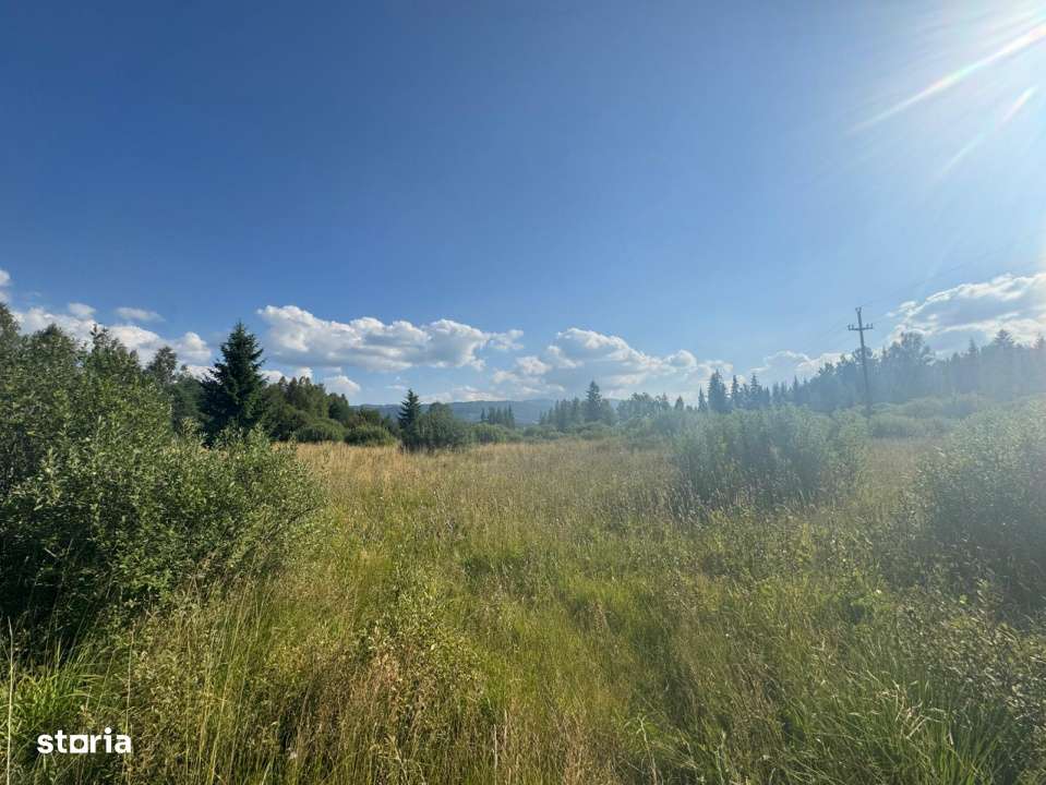 12700 mp investitie rezidentiala- turistica- medicala Tinovul Mic/Ș - Imagine principală: 5/17