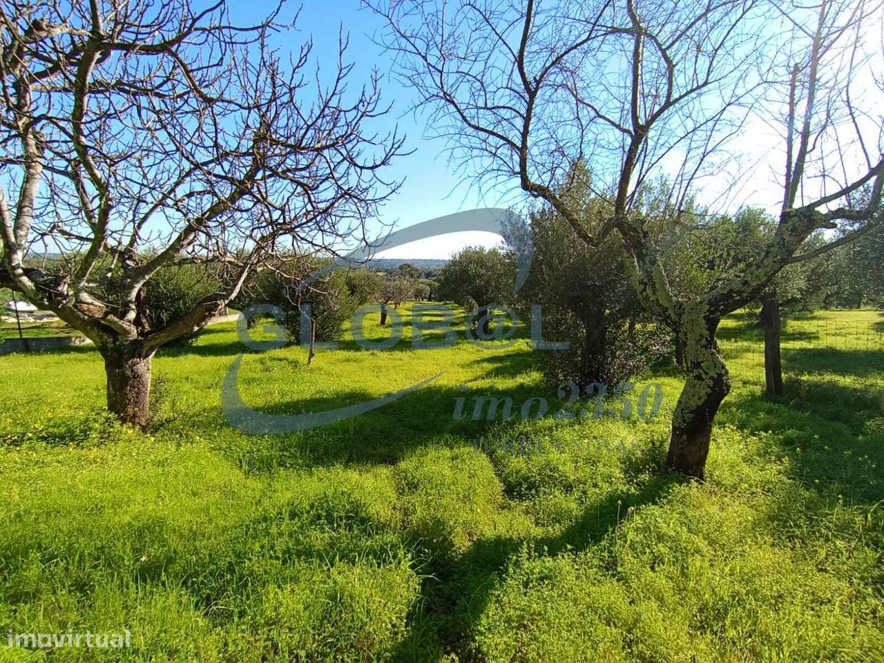 Terreno misto para construção em Alqueidão - Grande imagem: 5/9