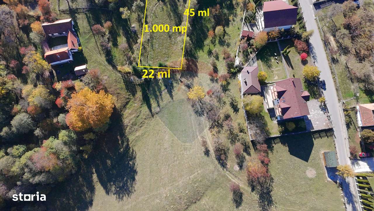 Teren de Vis în Bran – 1000mp Plat, Liniște Absolută și Aer Curat - Imagine principală: 4/20