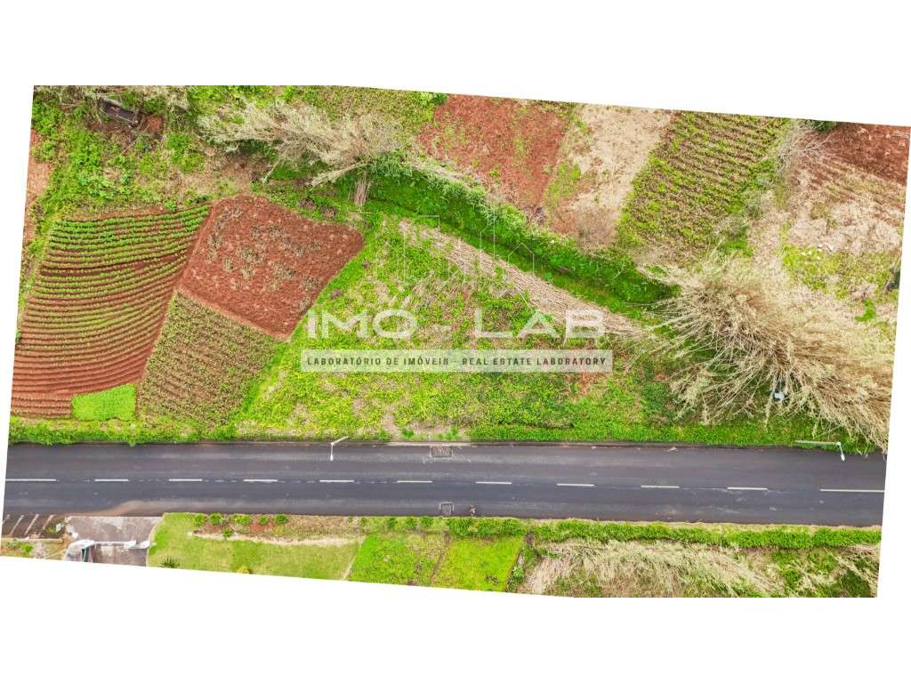 Terreno plano com 2128m2 - Porto Moniz-6