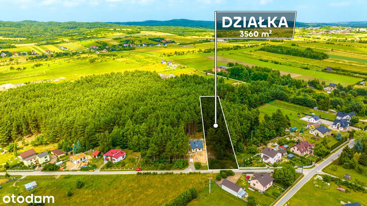 Malownicza działka w Ryczówku na sprzedaż VIDEO - Pełny obrazek: 5/12