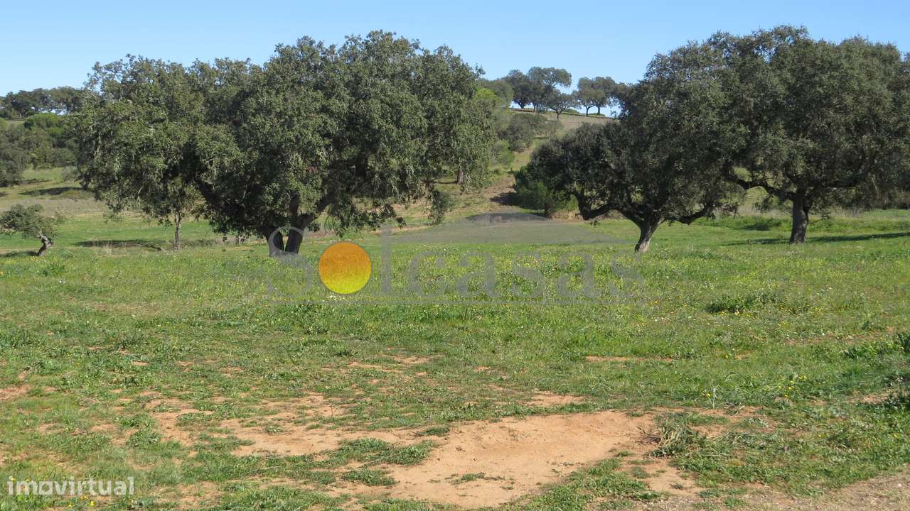 Terreno rústico de 13620 m² em Alcácer do Sal-2