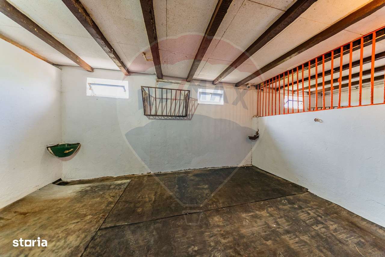 Ferma de cai andaluzi de vanzare - Zadareni - Imagine principală: 5/20