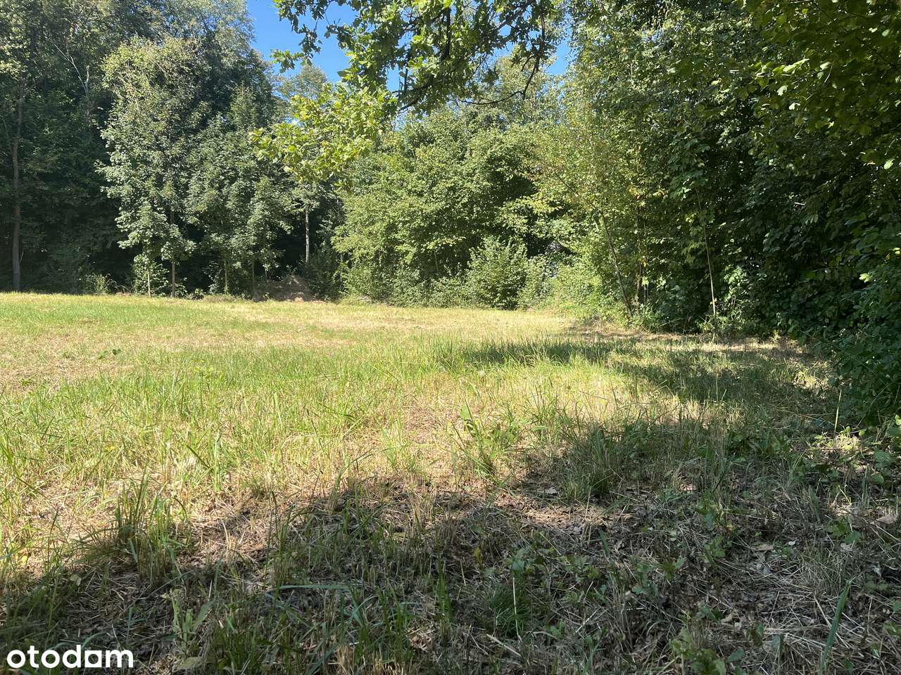 Dom do generalnego remontu. Przy lesie. Samotnia/ Agroturystyka. - Pełny obrazek: 5/5