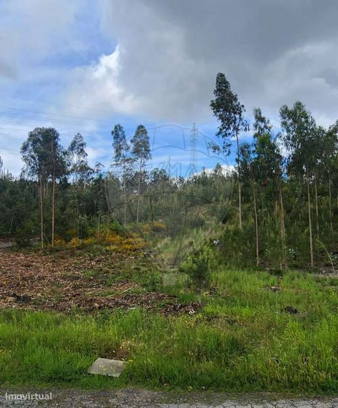 Terreno  para venda - Grande imagem: 2/24