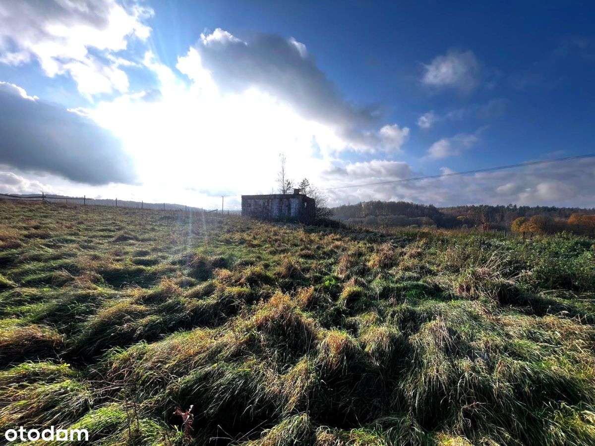 Budowlana działka w malowniczym Lisewie.-11