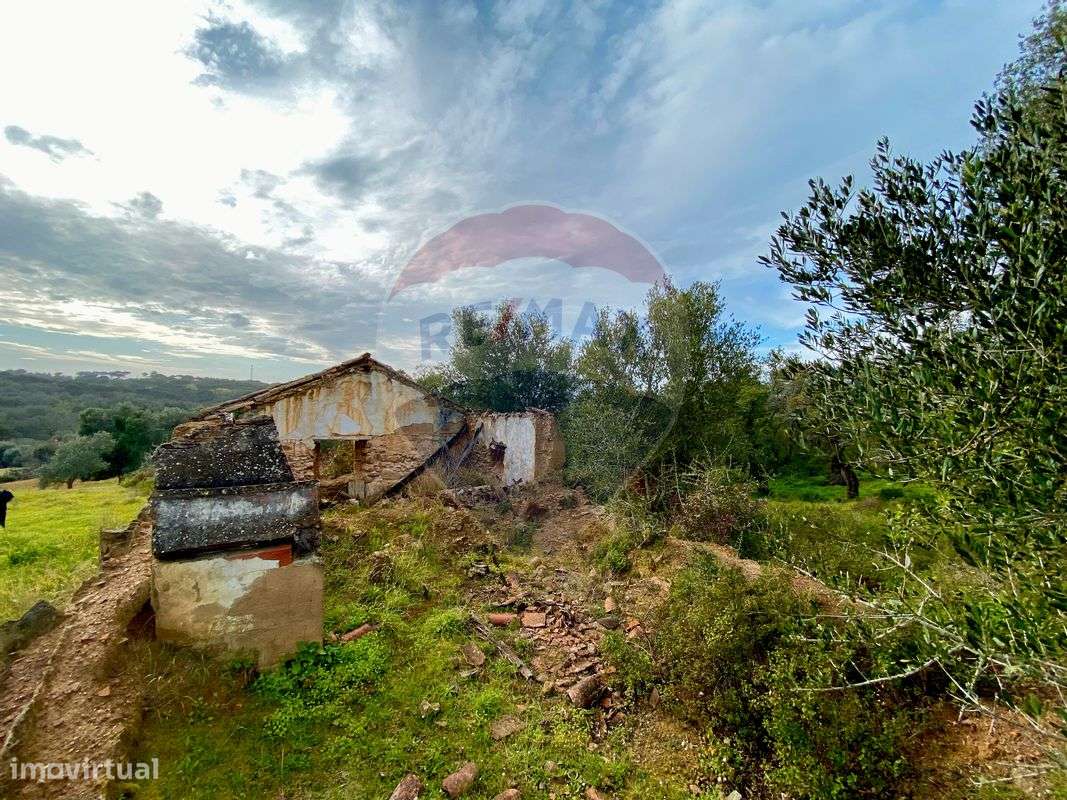 Terreno  para venda - Grande imagem: 5/16