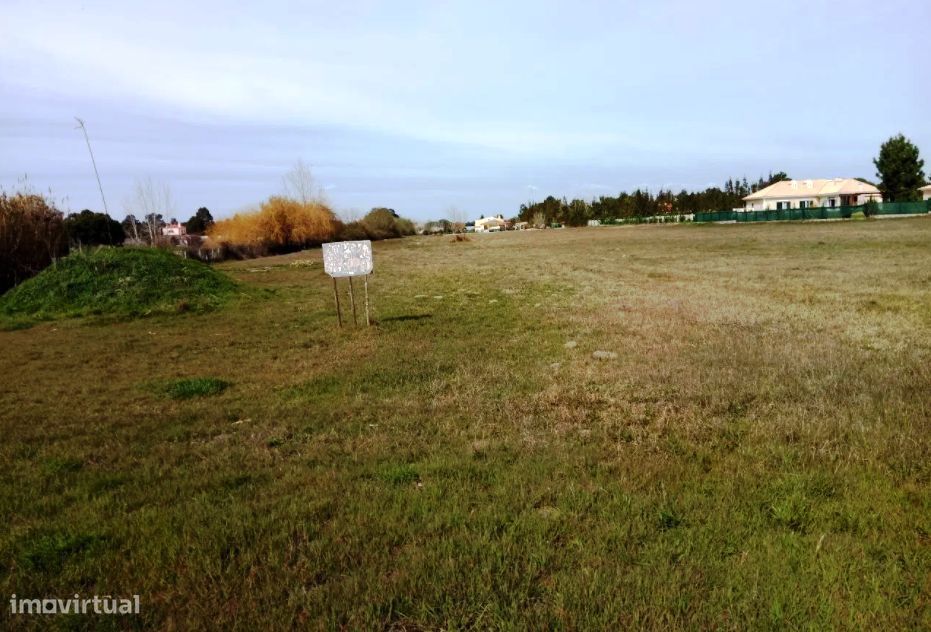 Terreno Rústico com 5.000 m² - Terrim - Pinhal Novo