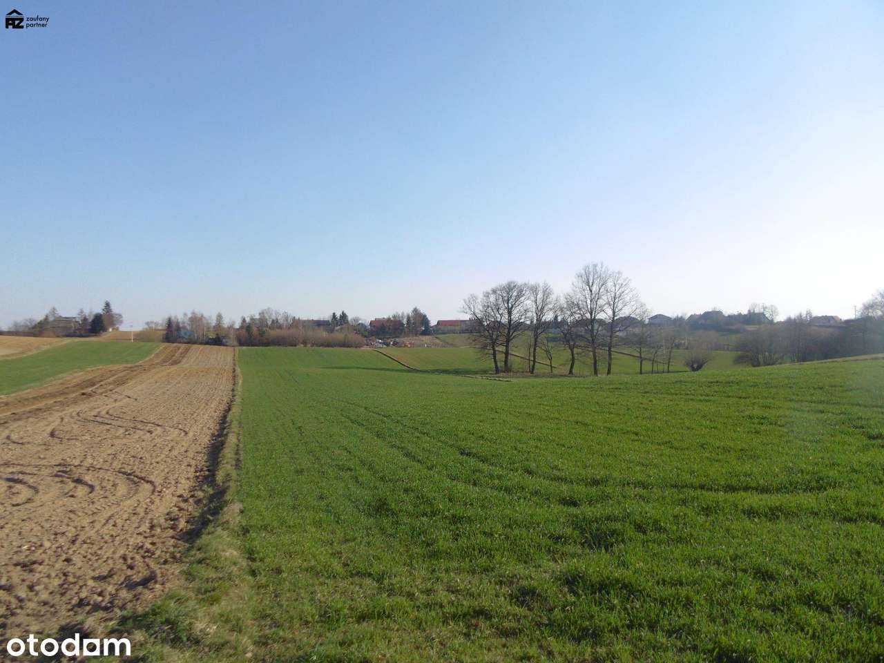 Działka budowlana w Luborzycy - Pełny obrazek: 4/4