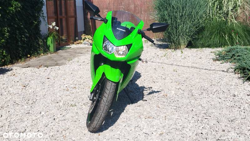 Kawasaki Ninja 250R - 2