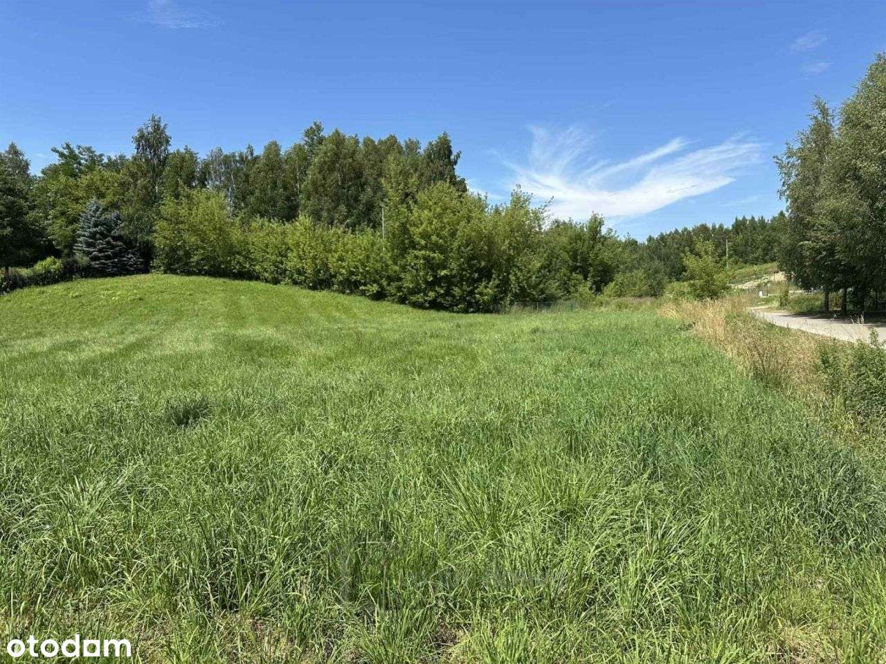 Działka, 1 738 m², Dąbrowica - Pełny obrazek: 5/7