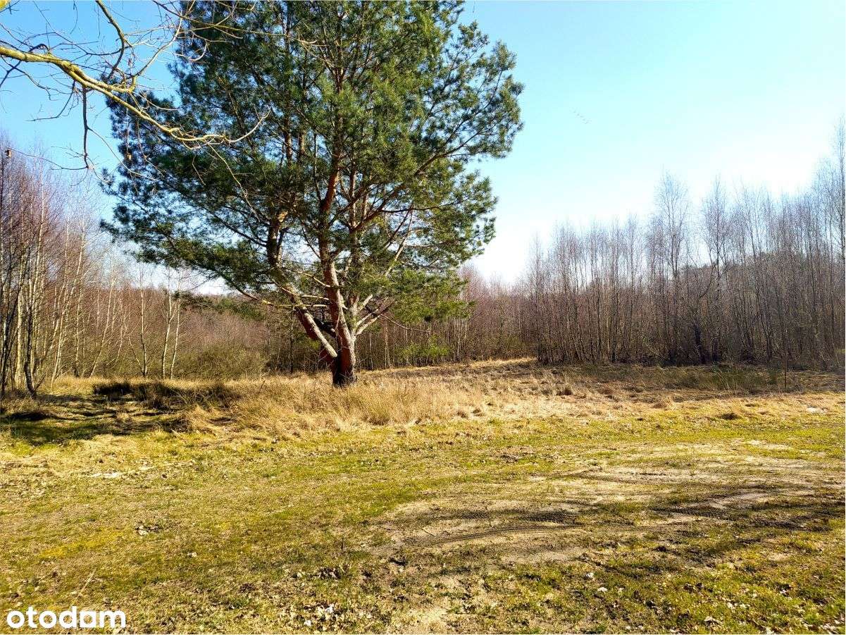 NOWA CENA Działka budowlana nad jeziorem | Salinko jezioro salińskie - Pełny obrazek: 3/3