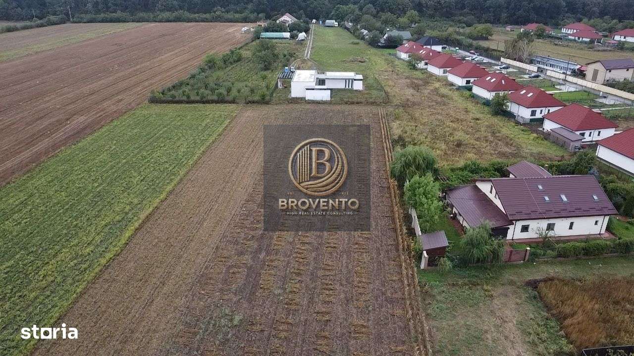 Teren Moara Vlasiei / Strada Cantonului - Padure - Imagine principală: 2/7