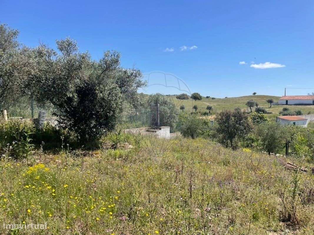 Quinta  para venda - Grande imagem: 4/26