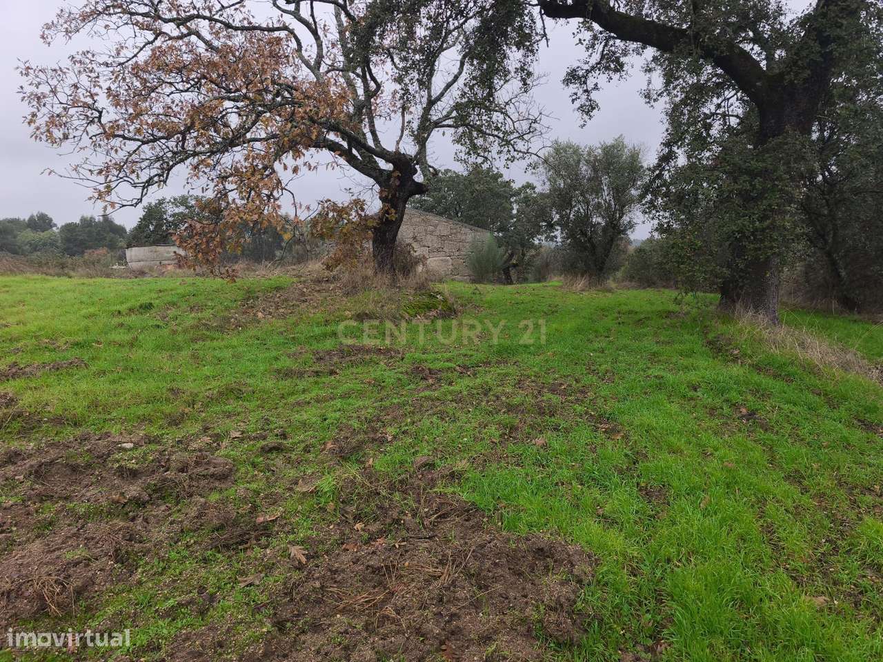 Terreno rustico com casa de Pedra - Grande imagem: 4/8