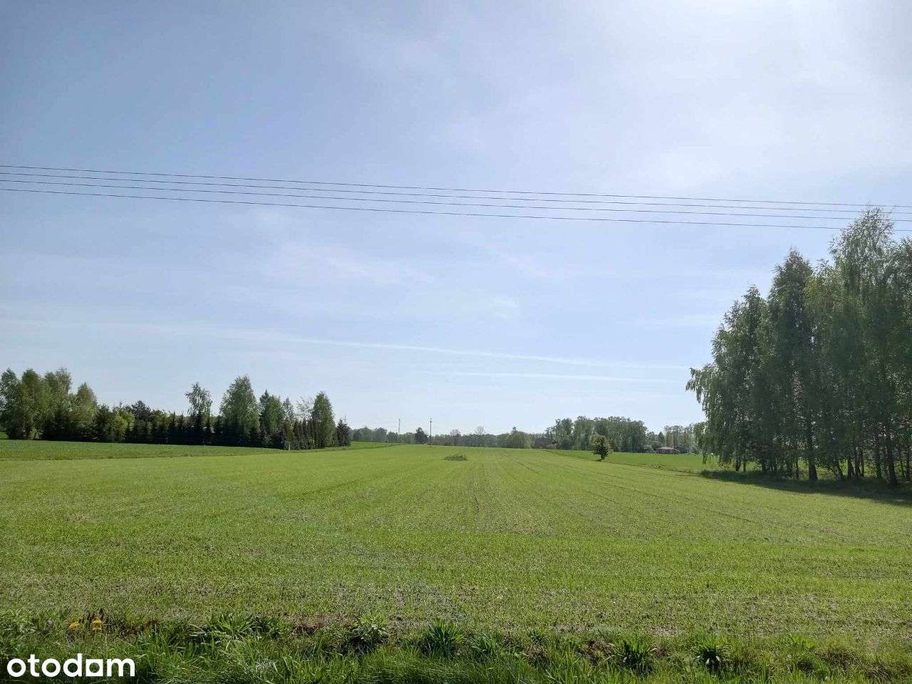 Sprzedam działki budowlane Czarnogłów gm.Dobre-2