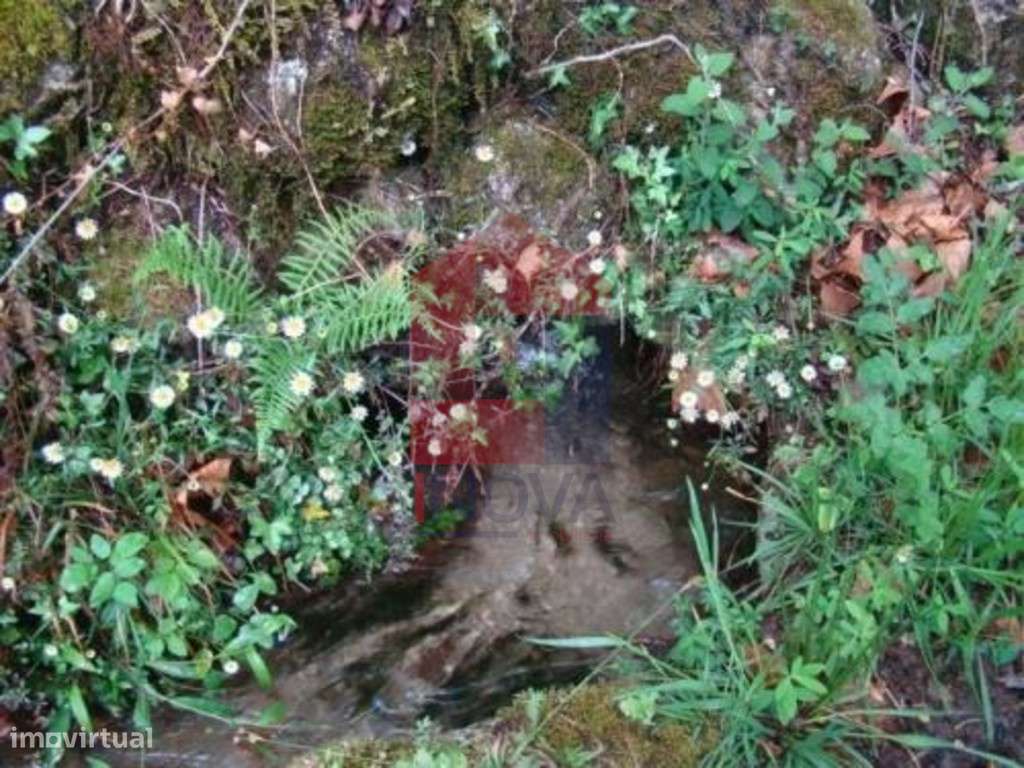 Terreno agrícola, Valdreu - Grande imagem: 5/8
