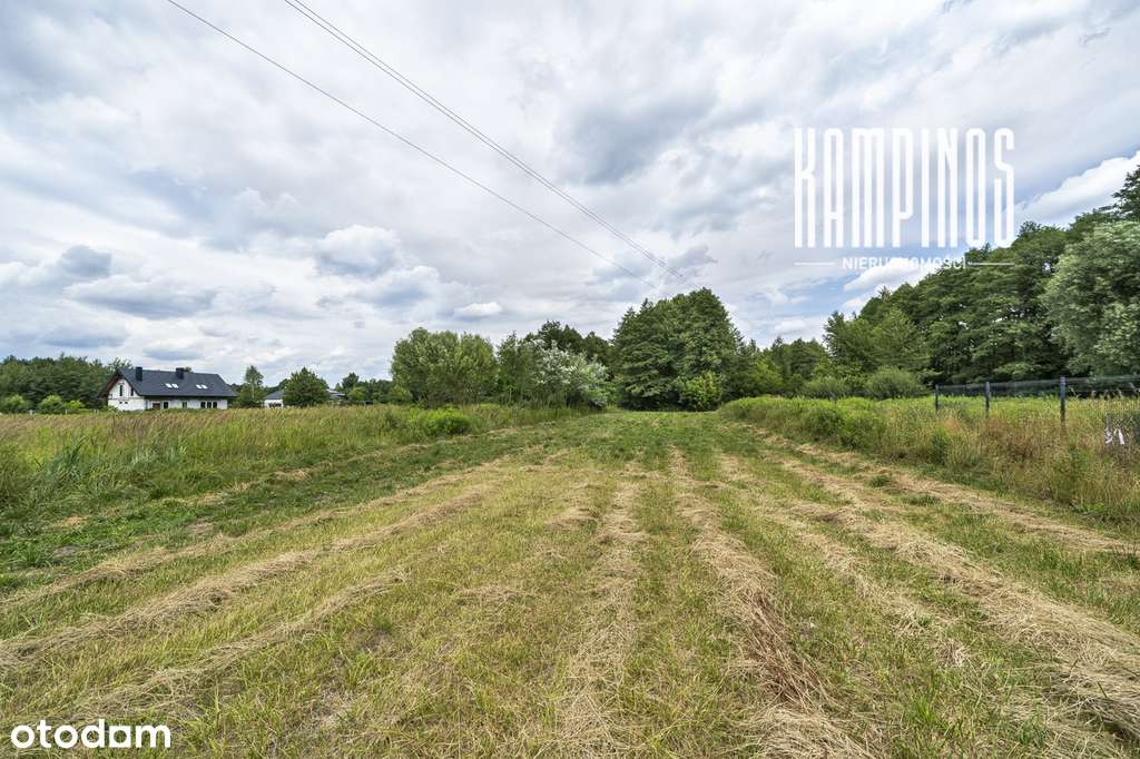 388/12317/OGS - Pełny obrazek: 4/6