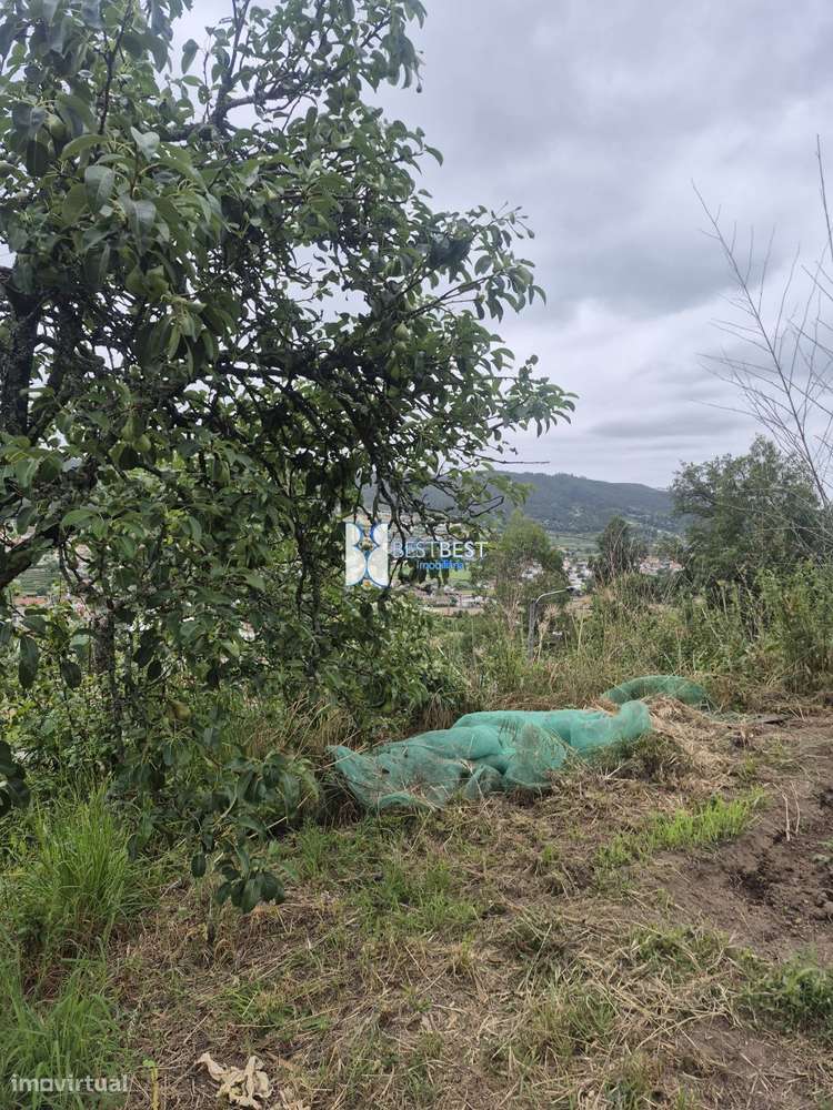 MORADIA INDEPENDENTE,REABILITAÇÃO, TERRENO 2.900M2, TELHADO,15MIN.FA-28