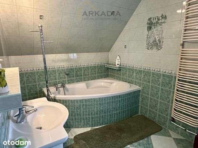 Gotowy do wprowadzenia!z potencjałem!-13