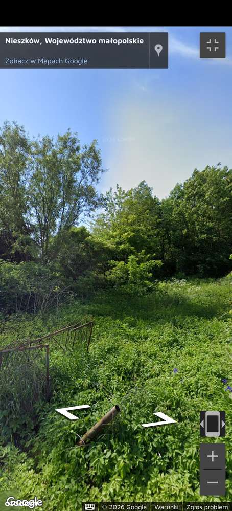 Sprzedam Dom do Remontu   na dużej 33 arowej Budowlanej działce-7