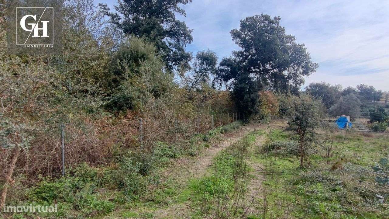 Terreno em Antas – 20.306 m² | Localização Estratégica!-7