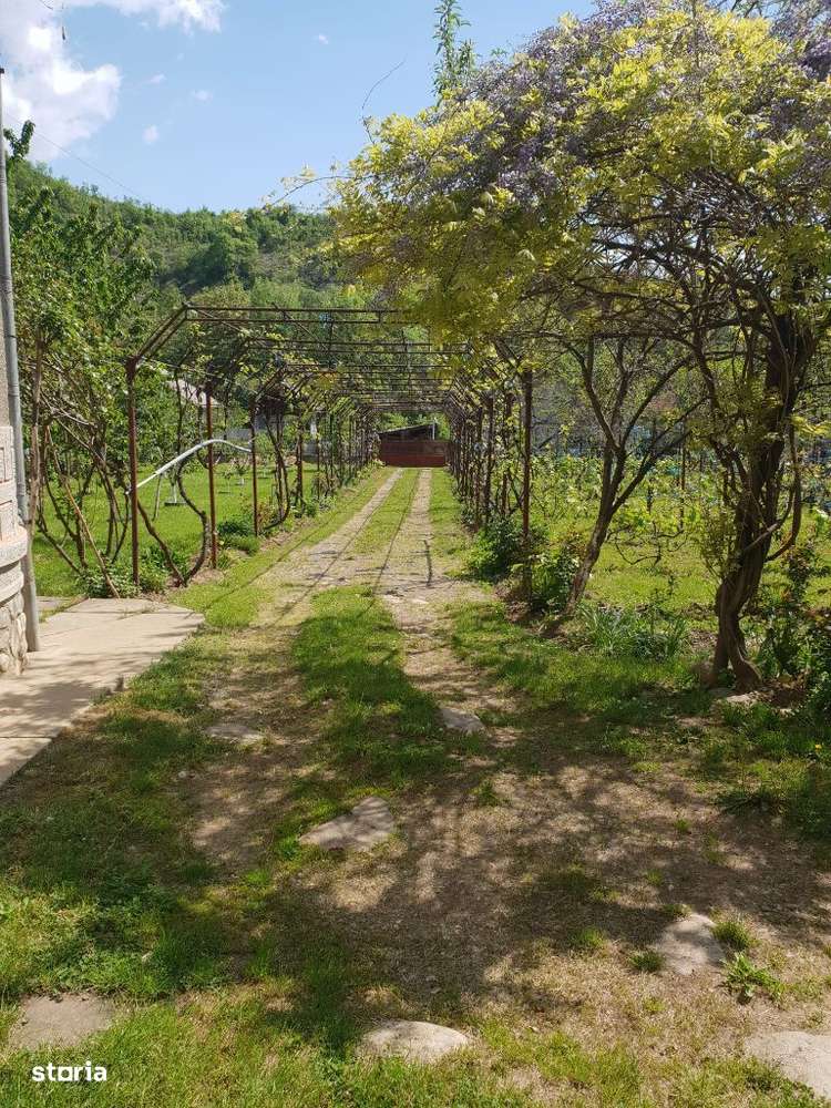 Vila P+E cu teren 2559 mp, vie, garaj, izvor - Borosteni, Gorj - Imagine principală: 4/19