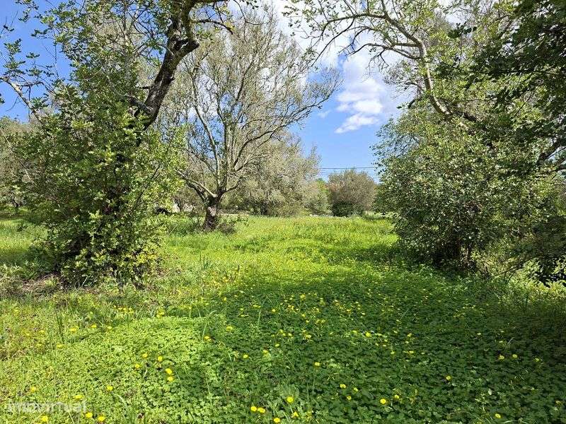 Belo terreno urbano para construir até 4 moradias com bons acessos! - Grande imagem: 4/12
