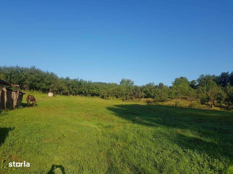 Casa + Teren de vanzare in Milostea, jud.Valcea - Imagine principală: 4/8
