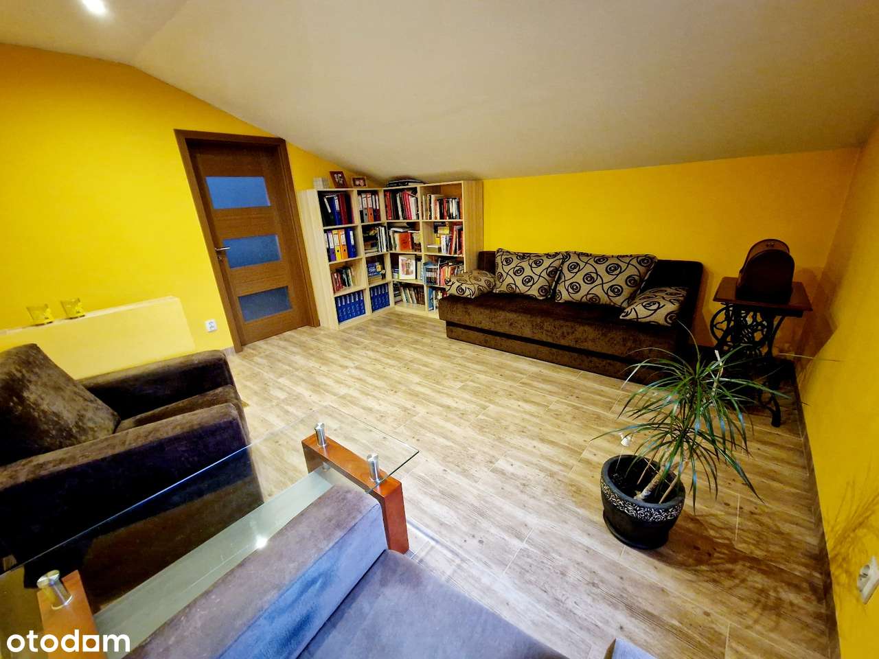 Solidny dom + budynek pod działalność w Złotorii-15