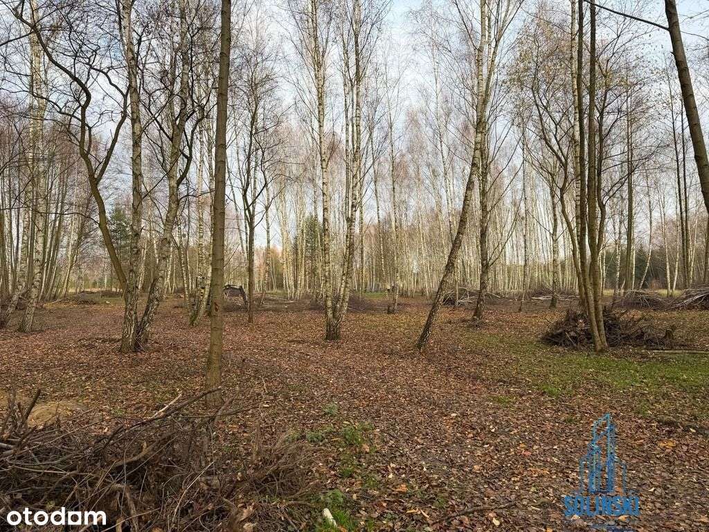 Bezkonkurencyjna działka z dostępem do rzeczki-2