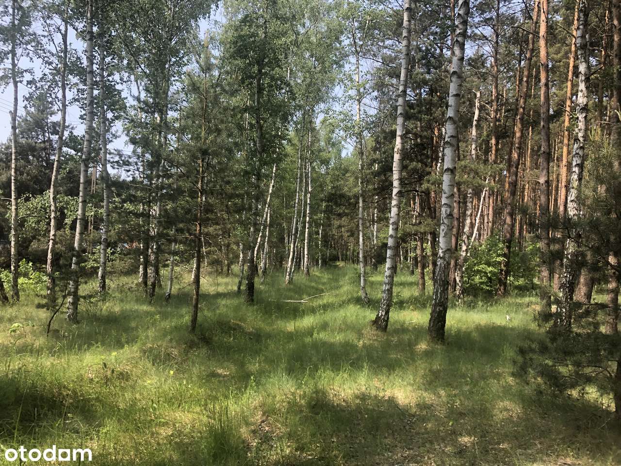 Inwestycyjna przy węźle w Stryszku-11