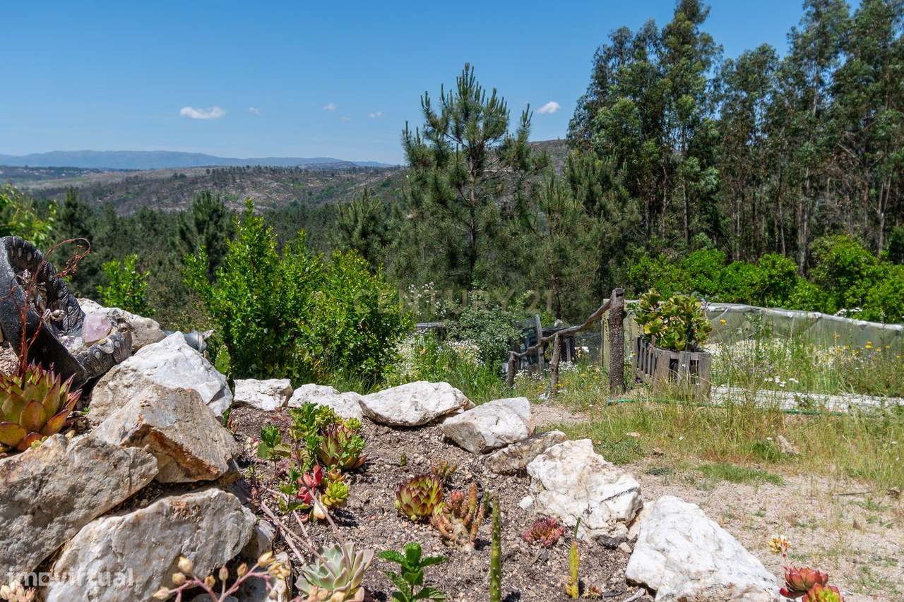 Viver de uma forma Ecológica em Terreno Panorâmico em Calde, Viseu-17