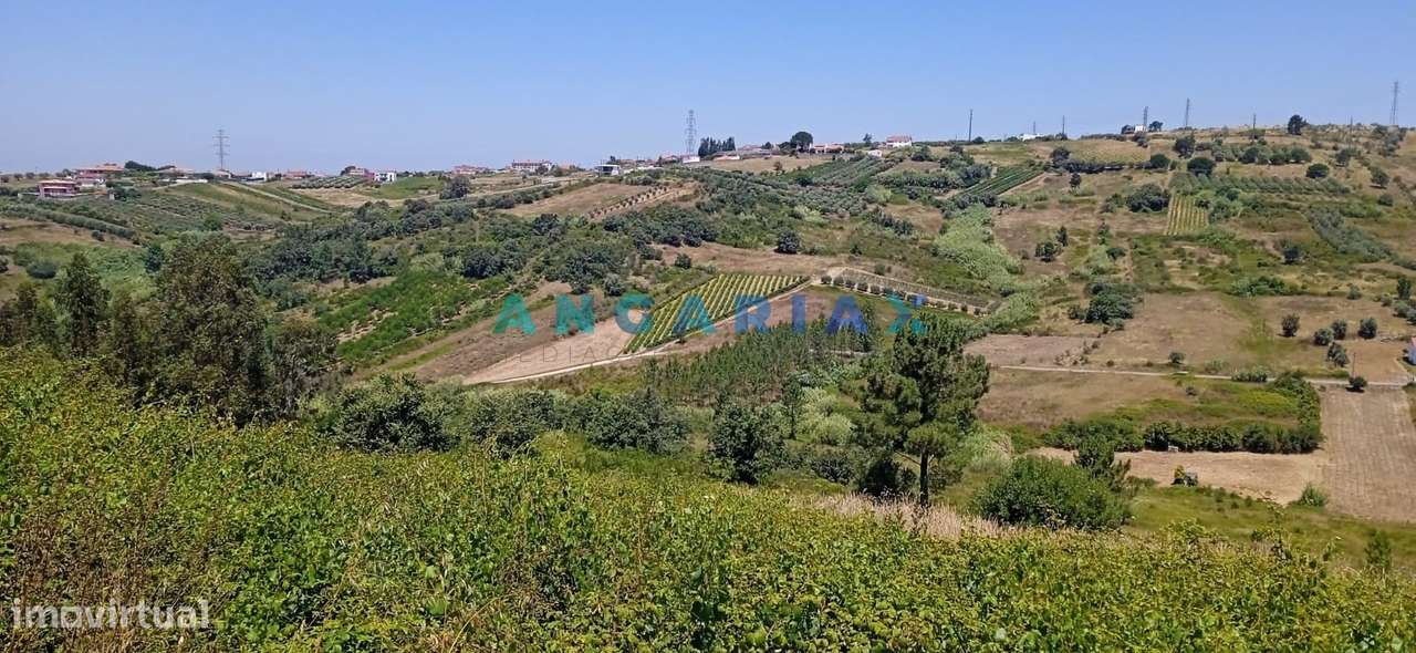 ANG1487 - Terreno para Venda em Batalha - Grande imagem: 3/4