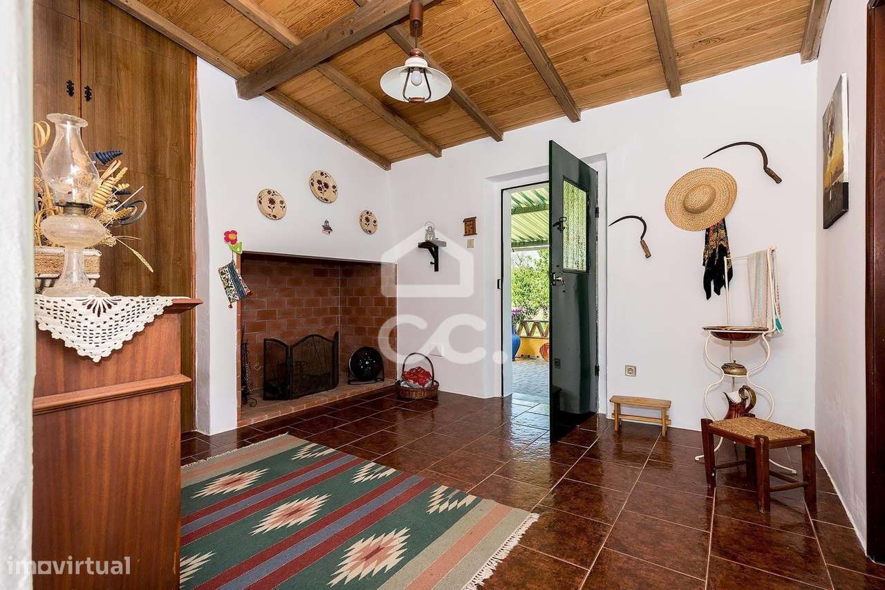 Quinta de 9250m2 c/ Moradia T4 térrea, anexo e armazém | Azaruja-8