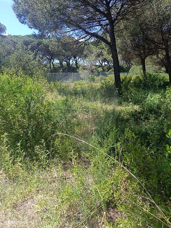 Terreno  para venda-5