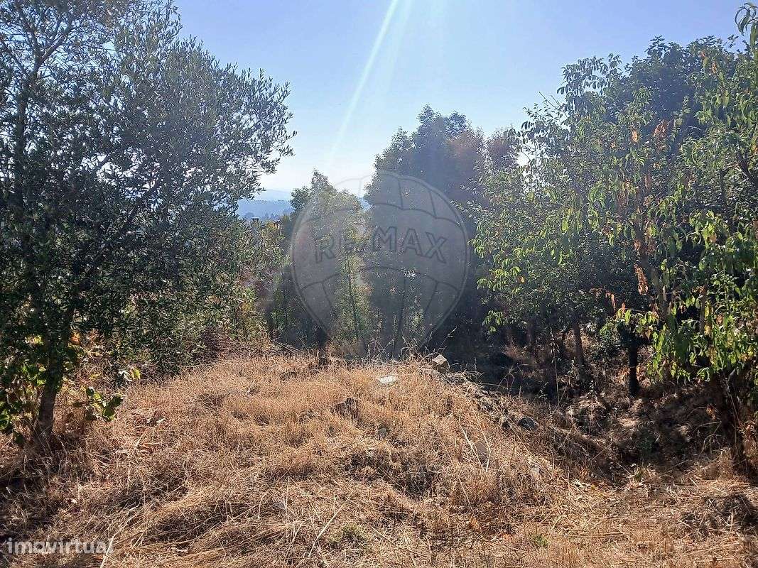 Terreno  para venda - Grande imagem: 3/7