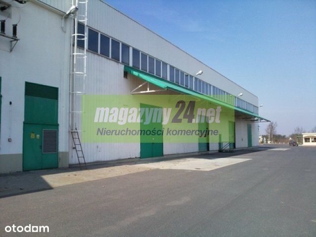 Hala/Magazyn, 5 150 m², Urzut