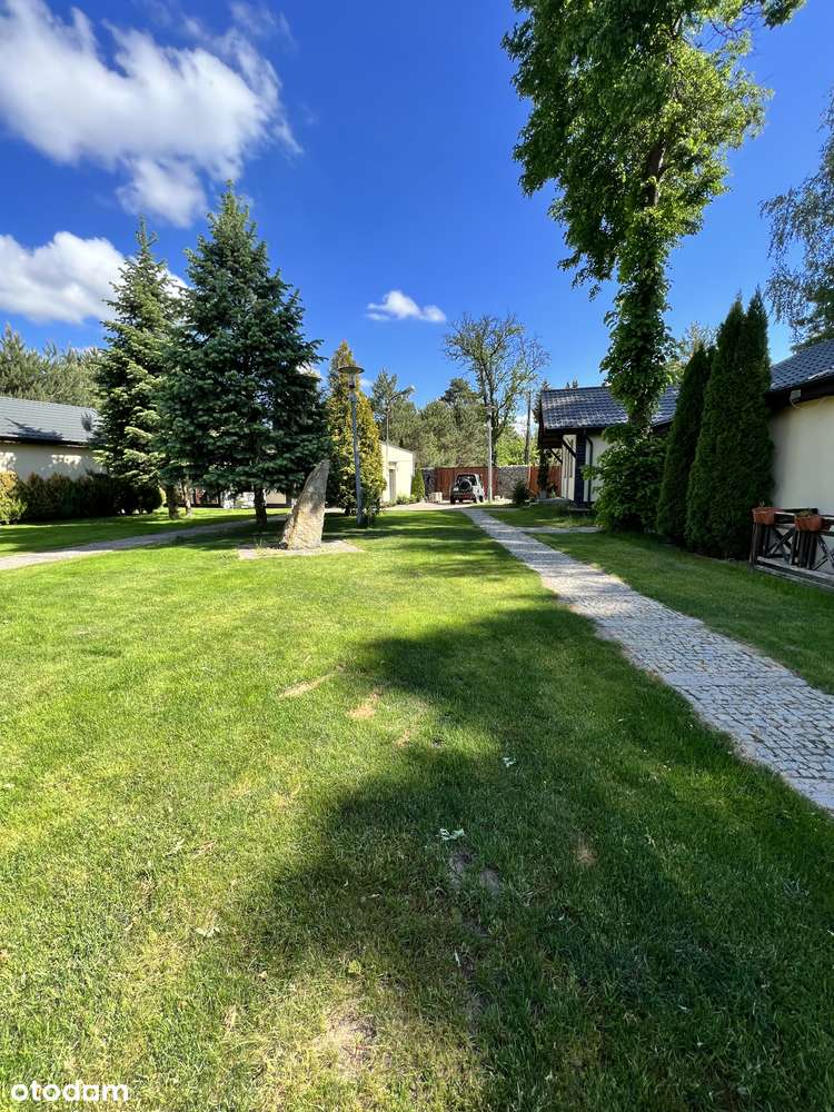 Siedlisko z 5 całorocznymi domami i basenem - Pełny obrazek: 4/20