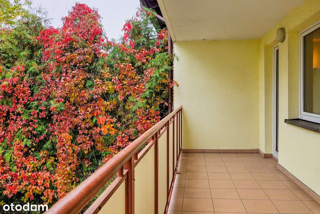 Wysoki parter | 52,9 m² | loggia | Złotów-7